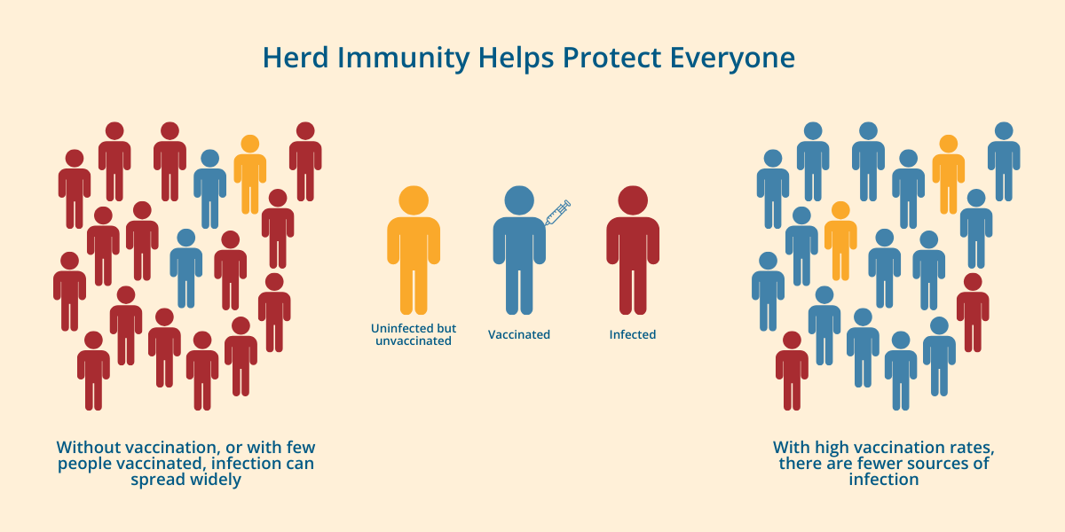 Read more about the article Study Shows Herd Immunity for HPV is Possible