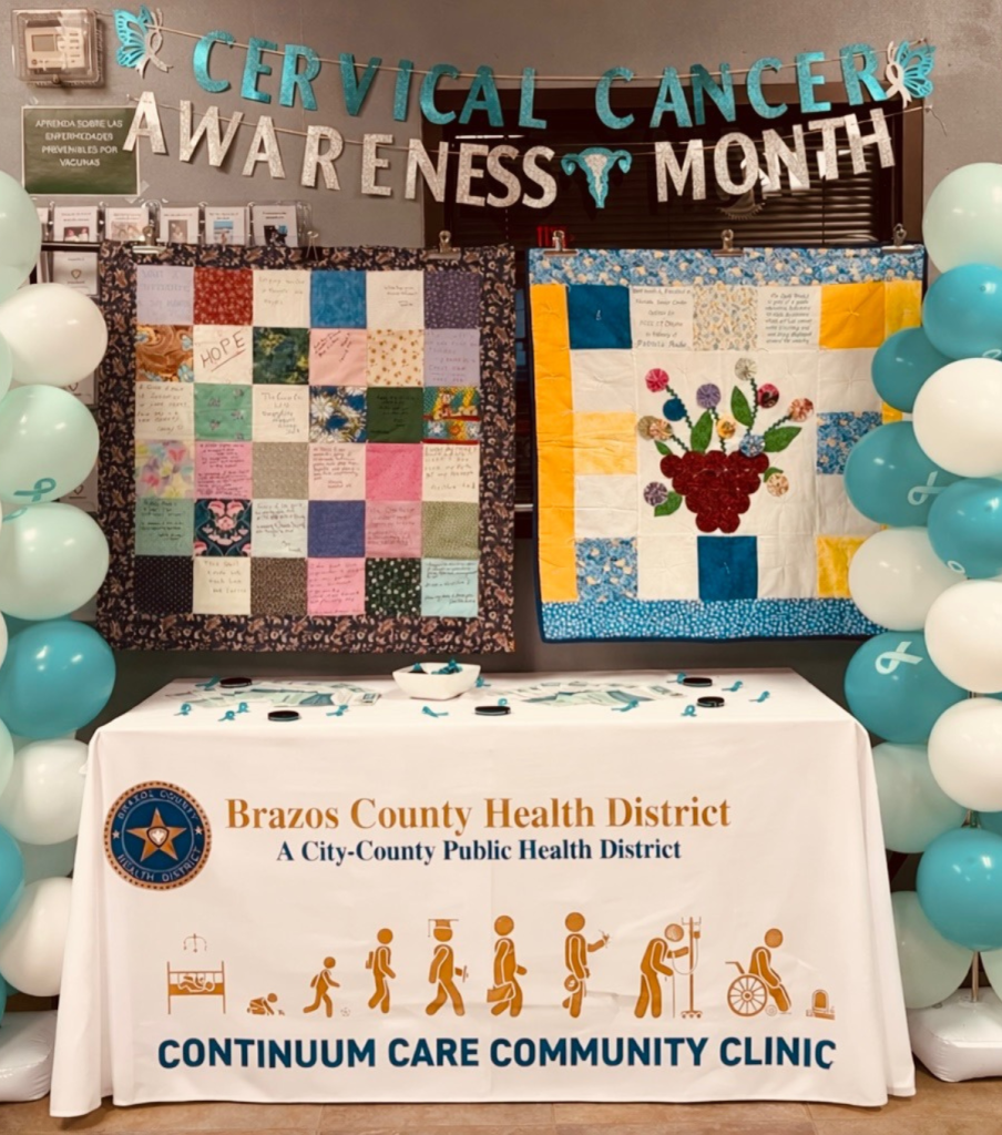 Brazos County Quilt Display
